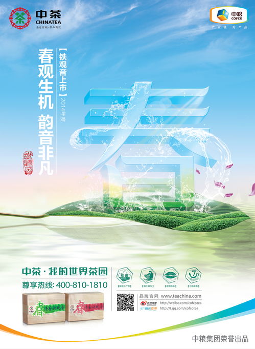 廣告設(shè)計與財務(wù)咨詢 構(gòu)建品牌價值與穩(wěn)健成長的雙引擎